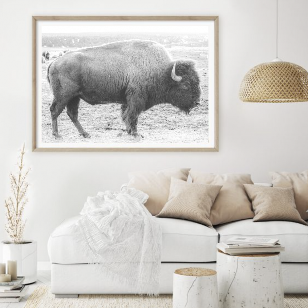 Fine Art Buffalo Print Mock Up